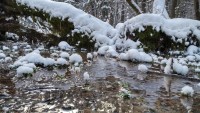 Krzemianka Reserve / Knyszynska Forest